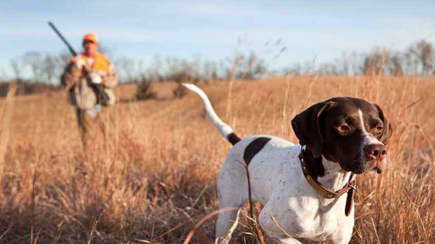 U.S. House Removes Anti-Hunting Language from Farm Bill in Victory for Hunters and 2A Supporters