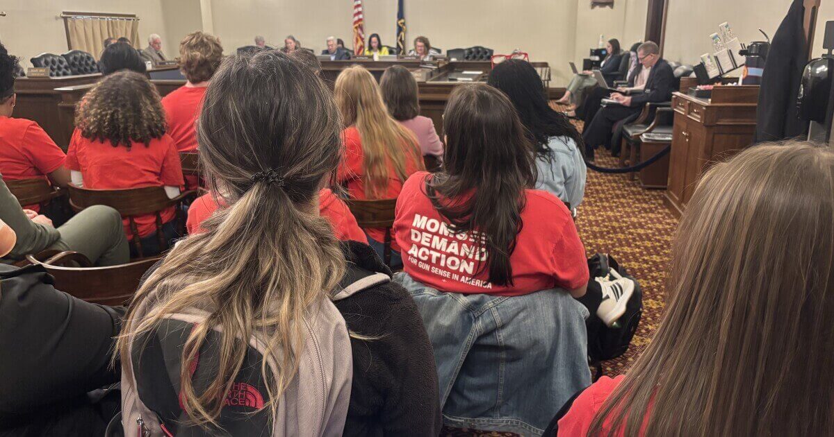 Michigan Senate Debates Gun Dealer Licensing Bills SB 853 and SB 854 Amid 2A Concerns